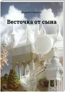 Весточка от сына