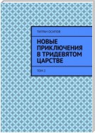 Новые Приключения в Тридевятом Царстве. Том 2