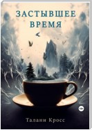 Застывшее время