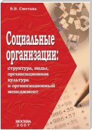 Социальные организации: структура, виды, организационная культура и организационный менеджмент