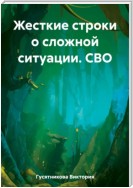 Жесткие строки о сложной ситуации. СВО