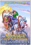 Как найти перо Жар-птицы. Декабрь прилагается