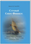 Суровый Синус Финикус. Очерки аварий и катастроф в восточной части Финского залива и акватории Невы