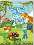 Путешествие Ручейка в мир Волшебных растений. Книга 3. Ручеёк в стране Динландии. Путешествие продолжается