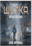 Шутка архитектора