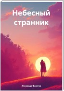 Небесный странник