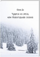 Чудеса из леса, или Новогодняя сказка