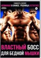 Невинная в офисе. Разница в статусе. Властный Босс для бедной мышки