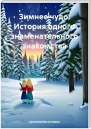 Зимнее чудо: История одного знаменательного знакомства