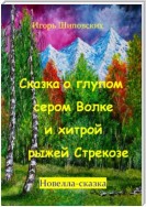 Сказка о глупом сером Волке и хитрой рыжей Стрекозе