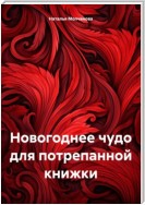 Сказка «Новогоднее чудо для потрепанной книжки»