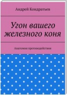 Угон вашего железного коня. Анатомия противодействия