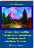 Сказка о юном молодце Тимофее и его похождениях на выручку своей зазнобушке