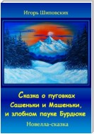 Сказка о пуговках Сашеньки и Машеньки, и злобном пауке Бурдюке