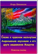 Сказка о чудесном мальчугане Андрюшеньке-вкусняшке и его друге медвежонке Мишутке