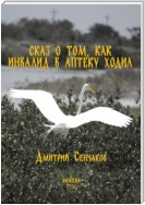 Сказ о том, как инвалид в аптеку ходил