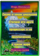 Сказка о юном школьнике Степане его друге профессоре и их приключениях в чужом мире