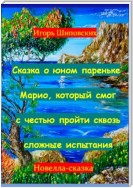 Сказка о юном пареньке Марио, который смог с честью пройти сквозь сложные испытания