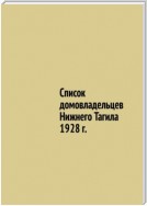 Список домовладельцев Нижнего Тагила 1928 г.