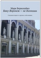 Баку-Воронеж – не догонишь. О великом городе и о друзьях, в нём живших