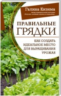 Правильные грядки. Как создать идеальное место для выращивания урожая