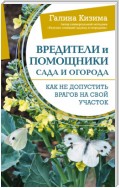 Вредители и помощники сада и огорода. Как не допустить врагов на свой участок