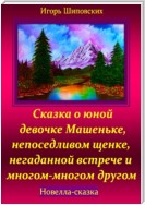 Сказка о юной девочке Машеньке, непоседливом щенке, негаданной встрече и многом-многом другом