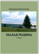 Малая родина. Стихи