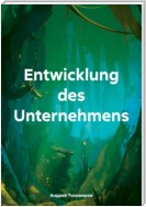 Entwicklung des Unternehmens