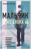 Мальчик из Блока 66. Реальная история ребенка, пережившего Аушвиц и Бухенвальд