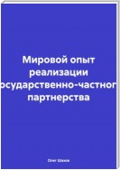 Мировой опыт реализации государственно-частного партнерства