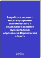 Разработка типового макета программы экономического и социального развития муниципальных образований Воронежской области
