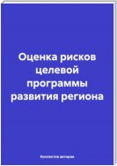 Оценка рисков целевой программы развития региона