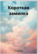 Короткая заминка