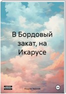 В Бордовый закат, на Икарусе