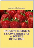 Harvest Business Strawberries as a Source of Income