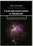 Самоорганизация в природе. Selforganisation in Nature