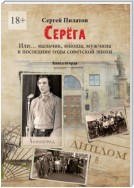 Серёга. Или… мальчик, юноша, мужчина в последние годы советской эпохи. Книга вторая