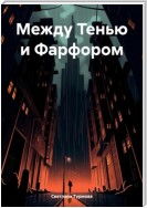 Между Тенью и Фарфором