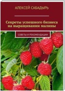 Секреты успешного бизнеса на выращивании малины. Советы и рекомендации