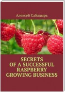 Secrets of a successful raspberry growing business