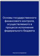 Основы государственного финансового контроля, осуществляемого в процессе исполнения федерального бюджета