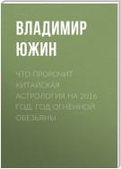 Что пророчит китайская астрология на 2016 год. Год Огненной Обезьяны