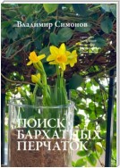 Поиск бархатных перчаток. Серия книг поэтической философии миропонимания новой эпохи