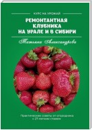 Ремонтантная клубника на Урале и в Сибири. Курс на урожай