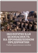 Экологическая безопасность на промышленном предприятии. Учебно-практическое пособие