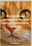 Испорченный праздник или один день из жизни кота Кузьмы