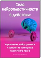 Сила нейропластичности в действии: Упражнения, нейротренинги и раскрытие потенциала пластичного мозга