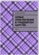 Новые Приключения в Тридевятом Царстве. Том 4