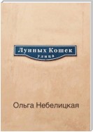 Улица лунных кошек